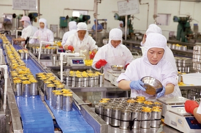 淮北貝寶食品全力投入黃桃罐頭生產(chǎn)，保障市場供應(yīng)與品質(zhì)