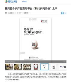 關(guān)于一家互聯(lián)網(wǎng)農(nóng)產(chǎn)品公司的相關(guān)設(shè)計(jì)和插畫作品