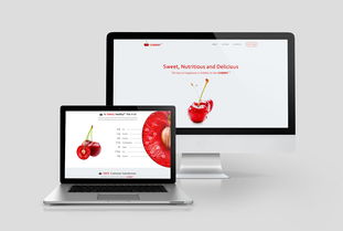 網(wǎng)頁設(shè)計合輯