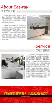 武漢網站建設與網絡營銷知識 全方位服務助力企業數字化轉型